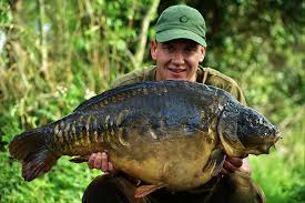 Horton Kingsmead 1 Rk Leisure