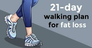 this amazing 21 day walking plan will help you lose weight