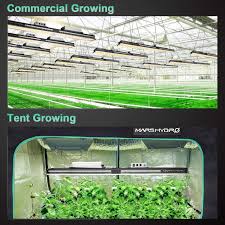 I have 2 600w leds in my 2x4. Buy Mars Hydro Sp3000 Led Grow Lights 2x4 Ft Coverage With 960pcs Samsung Lm301b Leds Full Spectrum Indoor Grow Lamp With Meanwell Driver Daisy Chain Dimmable Veg Flower Commercial Grow Light