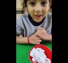 PROYECTO AULA REDES SOCIALES- INGLÉS ¡Buen día! Miss Marcela Pantoja  Herrera, nos presenta un video donde nuestros estudiantes de NT1- NT2  desarrollan actividades de inglés desde sus hogares para reforzar la  importancia