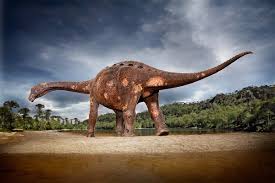 Meet 98 million year old 'cooper' a 28 metre long titanosaur. Ancient Parasites In A Titanosaur S Bones Made It Look Like A Zombie New Scientist