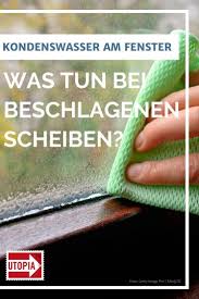Kondenswasser Am Fenster Was Tun Bei Beschlagenen Scheiben Haushalts Tipps Reinigungstipps Gut Leben
