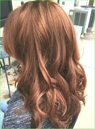 Strawberry Brown Hair Color 9125 Fashion Dark Blonde Hair Color Most Amazing Strawberry Blo Strawberry Brown Hair Blonde Hair Color Dark Strawberry Blonde Hair