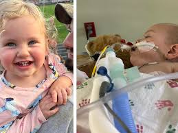 Fundraiser by Delanie Harrmann : Help our Lily overcome pneumonia and  respiratory failure