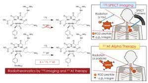 How cancer can be linked to overactive positive cell cycle regulators (oncogenes) or inactive negative regulators (tumor suppressors). Promising Radioisotope Couple For Cancer Diagnosis And Therapy