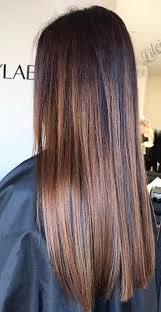 Pin By Daniela Zuco On Hair In 2020 Brown Hair Balayage Fall Hair Color For Brunettes Balayage Straight Hair