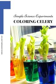 Find Out How Plants Absorb Their Nutrients With This Fun And Simple Experiment Coloring Celery In 2020 Easy Science Experiments Experiments Farm Activities Preschool