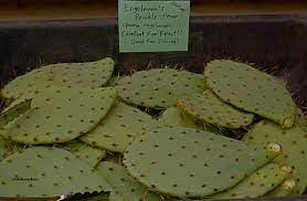 I always know it's prickly pear fruit season when questions start coming in on a recipe i did for a prickly pear fruit jelly. Desert Dessert Prickly Pear Fruit Foodatude