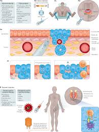 Prostate cancer is a common type of cancer in men, according to the mayo clinic. Considering The Potential For Gene Based Therapy In Prostate Cancer Nature Reviews Urology