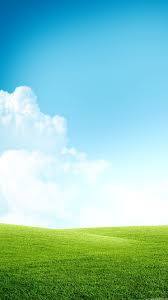 Field Hd Wallpapers Backgrounds Wallpaper Wallpaper Backgrounds Iphone 6 Plus Wallpaper Phone Screen Wallpaper