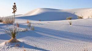 When we first were driving towards the national monument, we wondered where the sand was, becauase all we could see was vast brown landscapes all around us. White Sands National Monument In New Mexico Becomes 62nd U S National Park Ktla