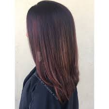 Rich Browns Coppers And Red Toned Balayage Highlights On Straight Hair Balayage Highlights Balayage Hair Copper Balayage Hair Purple