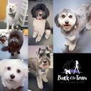 Bark of the Town Pet Salon & Spa