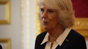 14 Geri James Stock Videos, Footage, & 4K Video Clips