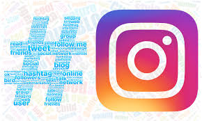 #cat #catsofinstagram #cats #catstagram #instacat #catlover #catoftheday #catlovers #cats_of_instagram #ilovemycat #catsagram #lovecats #catlife #cutecat #catlove #kittycat #catering #caturday #catalunya #ilovecats. The Best Instagram Hashtags Of 2021 To Get Like Orasai Com