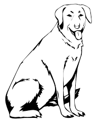 Yellow Lab Coloring Pages Dog Coloring Page Zoo Coloring Pages Dog Coloring Book