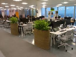 Indoor Garden Design Office Plants In London Plant Office Design Office Plants Office Interior Design