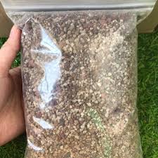 Trova una vasta selezione di akadama bonsai a prezzi vantaggiosi su ebay. 1l Premix Bonsai Soil Akadama Lava Stone Pumice Succulent Soil ç›†æ ½åœŸ Shopee Singapore