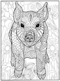 Pig coloring book for adults: Pig And Flowers Pigs Adult Coloring Pages