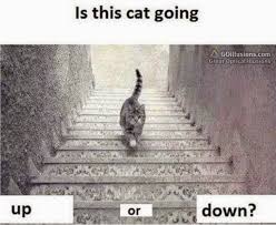 We did not find results for: Great Optical Illusions Funny Photos And Images Brain Teasers Puzzles Optical Illusion Puzzles
