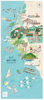 台灣的美 被他畫出來了 插畫家陳又凌畫出台江國家公園可愛的 濕地小住客 vidaorange national parks park national