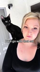 Olive & Omar: Feline Adventures Await