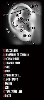 Ear Piercing Types Body Piercing And Healing Times Faq Types Of Ear Piercings Different Ear Piercings Ear Piercings