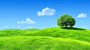 Nature Wallpaper Full Hd Posted By John Thompson Deer and trees, deer in forest during sunset, drawing, animals.