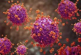 What Is The Difference Between Hiv 1 And Hiv 2