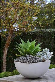 Hugedomains Com Potted Plants Outdoor Garden Plant Pots Plants