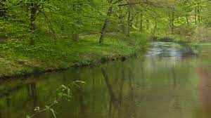 Smetana ma vlast vltava moldau hrusa bambergso. Bedrich Smetana The River Vltava Youtube