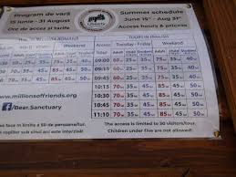 Dino parc rasnov pret bilet program 2019 pensiunea cristina. Das Barenreservat In Zarnesti