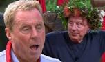 Image result for Harry Redknapp and ITV4 Social Stable