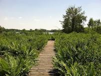 America 250: Cranberry Bog Open House