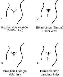 A brazilian wax removes all of the hair down there, from front to back. Techniken Und Hilfsmittel Fur Das Waxing Lenia Burdinski