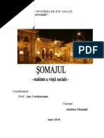 A realizat tot felul de sondaje de opinie pe tema celei mai importante probleme cu care se confrunta natiunea. Referat Somajul
