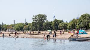 They are in a location recognized for its grassy spaces. Woodbine Beach Is Toronto S Largest Beach Along Lake Ontario Youtube