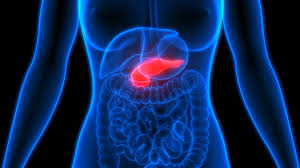 Abdominal ultrasound and endoscopic ultrasound use ultrasound waves to analyze the tumor. Scientists Discover Molecule That Destroys Pancreatic Cancer Cells Israel21c