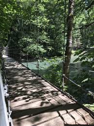 To enter the grove of the patriarchs, a short trail leads out to an island surrounded by the ohanapecosh river. Stroll Through The Grove Of The Patriarchs A Short And Sweet Hike In Washington Washington Hikes Vacation Trips Mount Rainier National Park