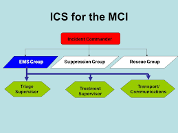 Ems Ics Chart Www Bedowntowndaytona Com