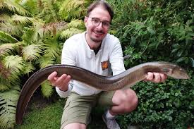 Liam leigh thus I felt a bit comfortable and did not follow