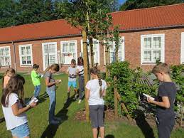 24 stunden pflege zu hause. Kardinal Von Galen Schule Dinklage Startseite