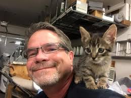 Rescuers Work Together for Over 33 Hours to Rescue a Tiny Kitten From a  Storm Drain Pipe