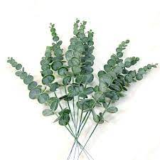 The entire thing sits in a minimalist sand colored bowl topped with decorative river rock. Plastic Eucalyptus Leaves Fake Plant Branch Flower Material Diy Flower Wall Wedding Wreath Greenery Plant Leaf Decor Home Garden Artificial Plants Aliexpress