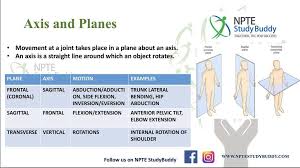 Axis And Planes Basics Doctor Of Physical Therapy Musculoskeletal System Biomechanics