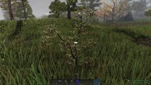 Turn hunters off until you get used to the game. Subsistence Tutorial And Tips For Surviving The First Couple Of Days