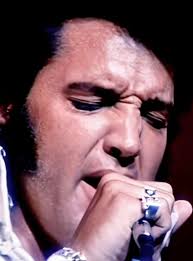 Oops we did it again. Every year keeps get bigger and better. 🎀