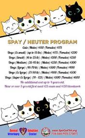 Check spelling or type a new query. Low Cost Vet Mobile Nyc