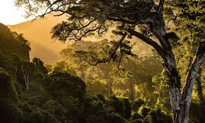 Biblical literature, mesopotamian texts, and sumerian archaeology indicate eden's origin as an idea. Where Was The Garden Of Eden Located Biblword Net