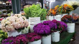 Wholesale flowers, plants and decorative articles. Pin On Fresh Cut Bulk Flowers